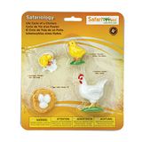 Safari Ltd Life Cycle of A Chicken