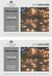 Merkloos 2x stuks lichtdraad cascade lichtsnoer met 8 lichtdraden van 200 cm - 160 warm witte Leds - Kerstverlichting