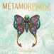 Métamorphose : Livre de Coloriage Papillons pour Adultes