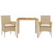 vidaXL 3-delige tuinset met kussens, poly rattan en acaciahout, beige