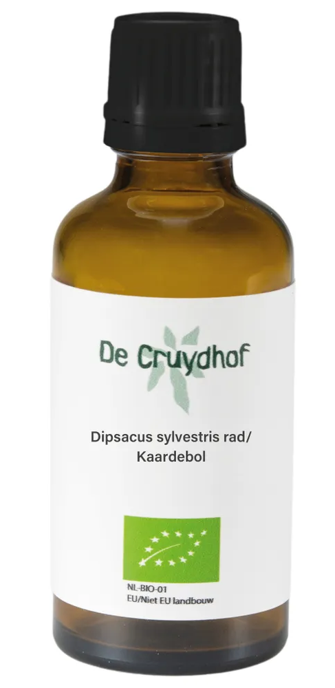 Cruydhof Dipsacus Sylvestris Rad/Kaardebol Druppels