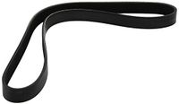 Dayco 6PK955 Poly Rib Riem