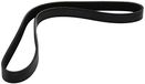 Dayco 6PK955 Poly Rib Riem