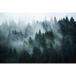 Forêt Papier Peint Panoramique - 382 cm X 255 cm