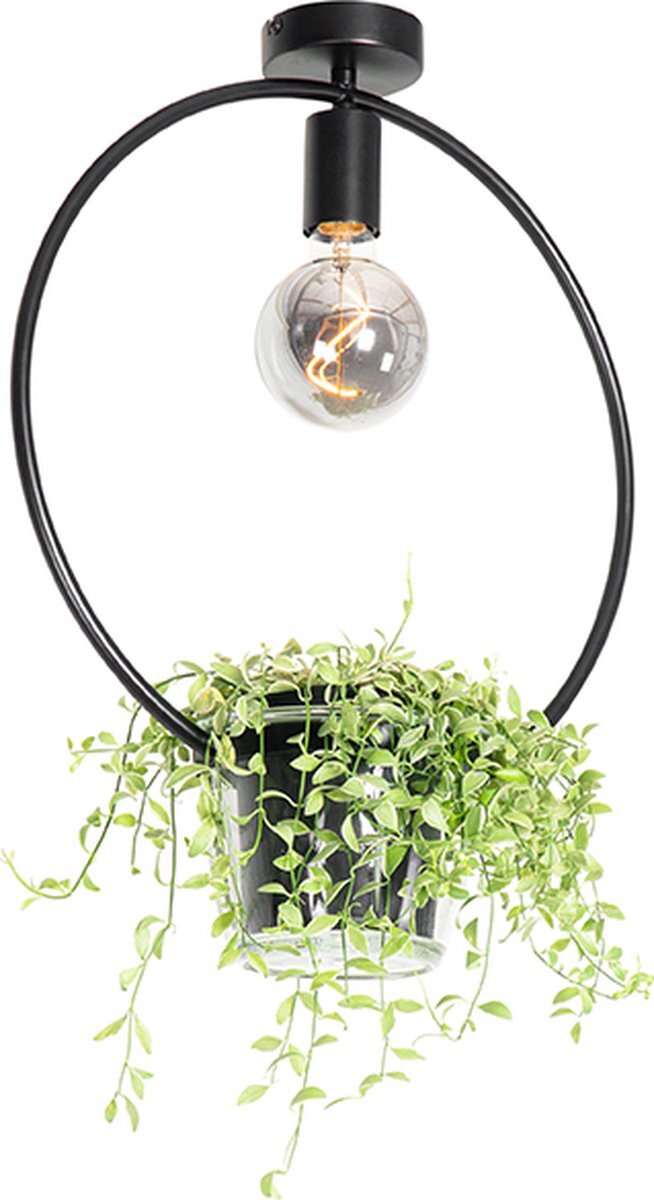 QAZQA roslini - Moderne Plafondlamp - 1 lichts - L 40 cm - Zwart - Woonkamer | Slaapkamer | Keuken