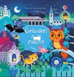 Usborne Livre sonore - Sons dans la nuit
