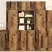 vidaXL Opbergkast, gerecycled hout, 80 x 42,5 x 225 cm, houtvezel