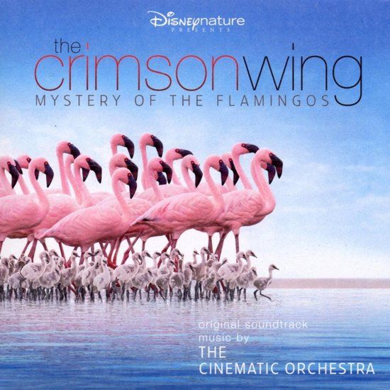 Cinematic Orchestra - The Crimson Wing - Mystery Of The Flamingo (CD)