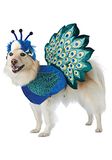 California Costumes Mooi als een pauw huisdier kostuum medium