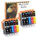 Canon 10 cartouches d'encre compatibles avec Canon PGI-520 CLI-521