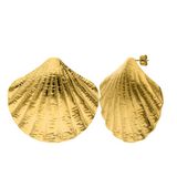 Lucardi Dames Stainless steel goldplated oorknoppen schelp voor dames - Oorbellen - Staal - Goudkleurig