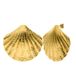 Lucardi Dames Stainless steel goldplated oorknoppen schelp voor dames - Oorbellen - Staal - Goudkleurig