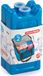 Plasticforte 90 grams koelelementen - 2x stuks - 11 x 5.5 cm - blauw - kunststof - met sneeuwvlokken print
