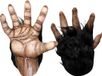 Vegaoo Gants de gorille marron - Accessoire de déguisement - Taille unique