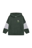 Noppies Pull gris / vert foncé
