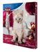 TRIXIE Adventskalender Kat - Kip - 30x3.5x34 cm