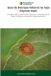 Guia OmniScriptum SRL Guia de Doenças Foliares na Soja (Glycine max) Paperback