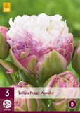 JUB Tulipa peggy wonder JUB, 3 bollen