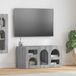 Prolenta Maison Exclusive TV-kast ELST