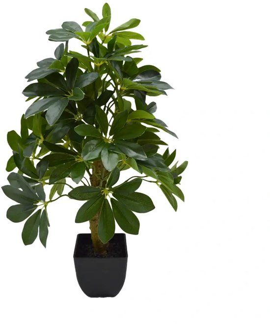 Buitengewoon Boet Kunstplant Schefflera in Pot - 60 cm