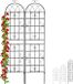 Relaxdays klimplantenrek metaal, 2 stuks, voor in de tuin, plantensteun voor klimplanten, 220 x 50 cm, trellis, zwart