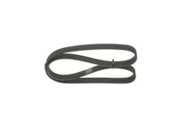 BOSCH Keilrippenriemen 1987946054