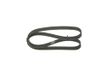 BOSCH Keilrippenriemen 1987946054