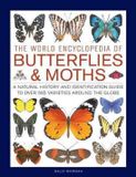 The Anness Publishing The World Encyclopedia of Butterflies & Moths: A Natural History and Identification Guide to Over 565 Varieties Around the Globe