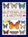 The Anness Publishing The World Encyclopedia of Butterflies & Moths: A Natural History and Identification Guide to Over 565 Varieties Around the Globe