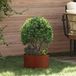 Maison Exclusive - Set of 5 plant pots, rust colour, dimensions 30 x 30 x 20 cm, made of weather-resistant steel