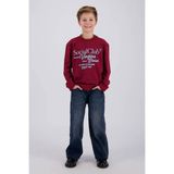 Vingino - Halox - Jongens - T-shirt - Korte mouw - Katoen - 164 - Cabernet