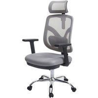 SIHOO Ergonomic Office Chair - Adjustable Lumbar and Armrest - Grey