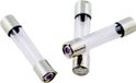 ESKA 528.030 528030 Buiszekering (Ø x l) 5 mm x 25 mm 16 A 250 V Normaal -mT- Inhoud 10 stuk(s)