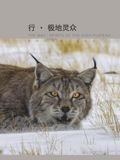 THE WAY: Spirits of the High Plateau: Director's Ecological Notes on Tibet