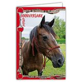 Afie 67-1224 Kaart Gelukkige Verjaardag Paard Dieren Rijden Harnas Rood Ruiter Ruiter met Witte Envelop Formaat 12 x 17,5 cm