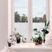 d-c-fix Charis Raamfolie - 68x150cm - Melkglas - Patroon - Statisch