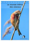 Le Calvendo Le monde intime des oiseaux (Calendrier de bureau 2026 DIN A5 horizontal), CALVENDO calendrier mensuel