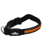 Dehner LED hondenhalsband Flash Collar, lengte 51 cm, hoogte 2,5 cm, mesh stof, zwart/oranje