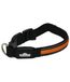Dehner LED hondenhalsband Flash Collar, lengte 51 cm, hoogte 2,5 cm, mesh stof, zwart/oranje