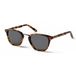Ocean Sunglasses Livorno Lunettes de soleil marron