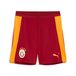 PUMA Short d’entraînement slim Galatasaray SK Homme, Accessoires, Rouge, S