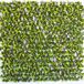 TENAX Divy 3D Trellis Kunstheg met 3D-bladeren op uittrekbare pvc-trellis, 1 x 2 m