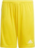 adidas Squadra 21 Shorts Youth - Geel