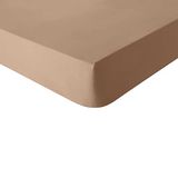 Hoeslaken, Essix - Tout Doux - Effen katoenen hoeslaken 140x190 cm Beige