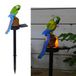 Lampe solaire perroquet vert, décoration de jardin, résine, LED, étanche