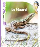 Leopard Le lézard
