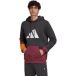 Adidas Hooded sweatshirt Sportswear Colorblock