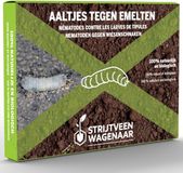 Strijtveen & Wagenaar Aaltjes tegen Emelten 100m² - Steinernema Carpocapsae