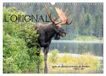 L'ORIGNAL, CALVENDO L'ORIGNAL, LE PLUS GRAND CERVIDÉ DU MONDE (Calendrier mural 2027 DIN A3 vertical), CALVENDO calendrier mensuel: 13 Photographies du plus grand cervidé des forêts d'Amérique du Nord