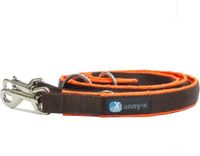 AnnyX PROTECT Verstelbare Hondenriem - Bruin/Neonoranje - 3m x 2.5cm